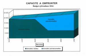 Graphique budget sylviculture