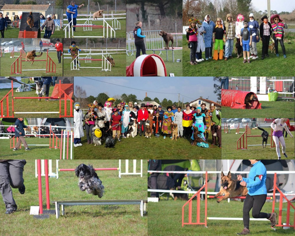 C'est par un dimanche ensoleillé que s'est déroulé le concours d'agility organisé par le club CECM de Vendays-Montalivet. La journée s'est terminée dans la joie et la bonne humeur par un parcours déguisé. Organisé depuis bientôt 2 ans sur notre Commune, au lieu dit Saint-isidore, ce concours est toujours très apprécié du public.